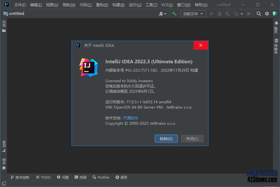 IntelliJ IDEA 2022.3.3 IDEA2022中文激活版