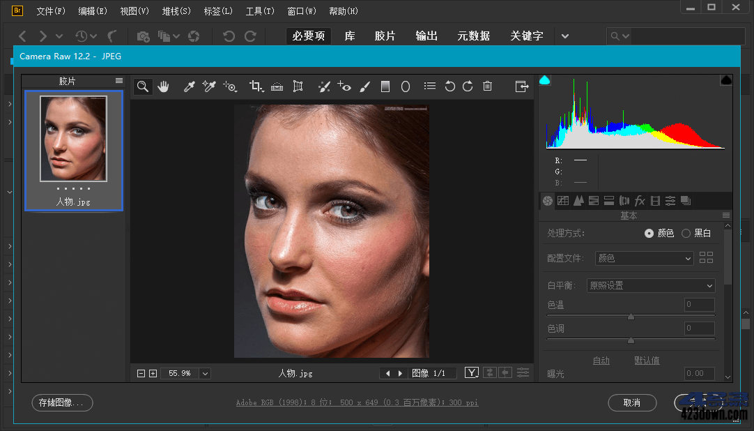 Adobe Bridge 2021 (11.1.1.185.0) Repack