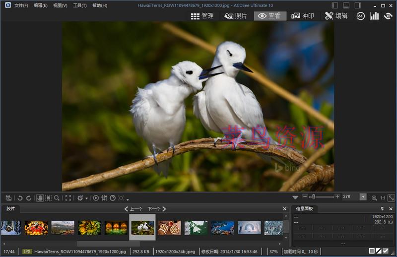ACDSee Ultimate 10.4.0 汉化破解补丁