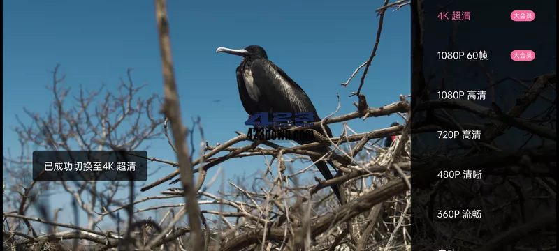 B站哔哩哔哩App_6.40.0_真我定制版去广告版