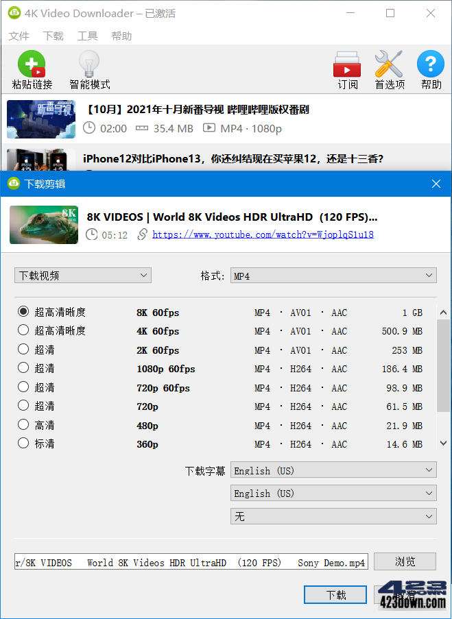 4K Video Downloader_v4.31.0.0091破解版