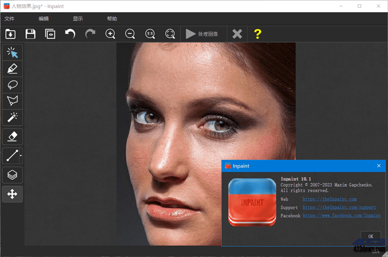 Inpaint(图片去水印工具) V10.2.4 中文破解版
