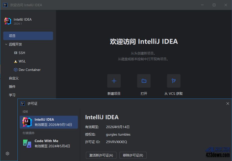 IntelliJ IDEA 2024.1.4 IDea2024中文激活版