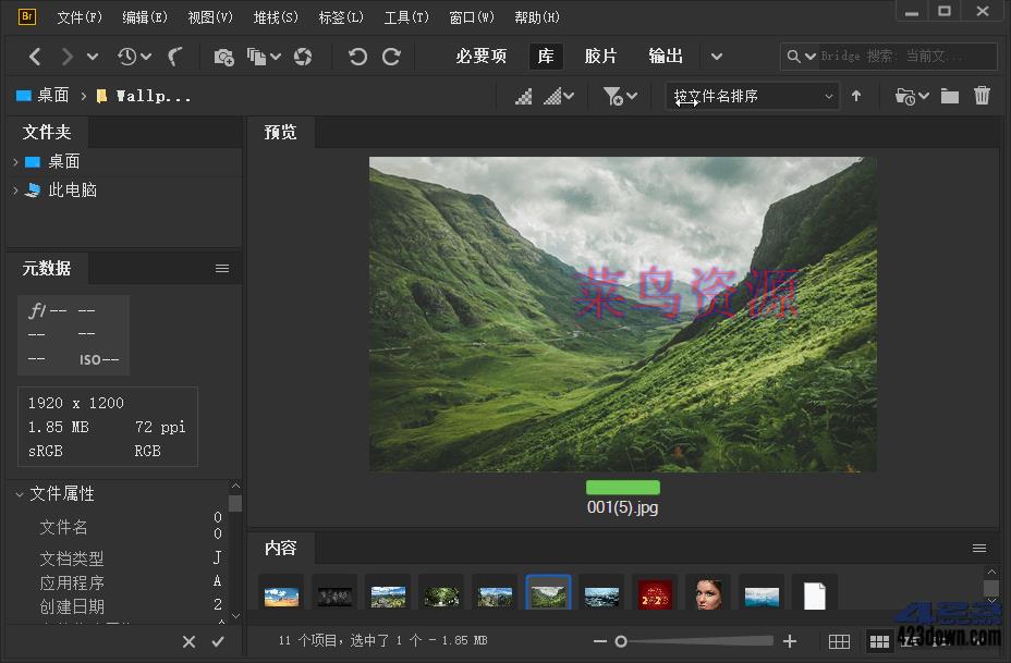 Adobe Bridge 2024 (v14.1.1.274.0) 破解版