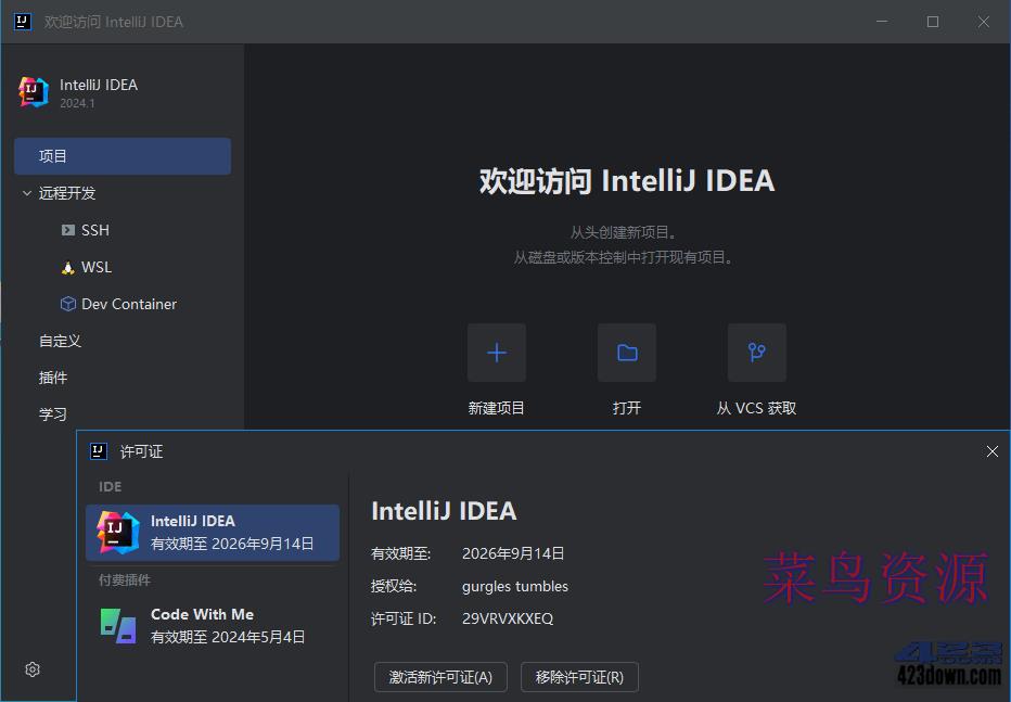 IntelliJ IDEA 2024.1.4 IDea2024中文激活版