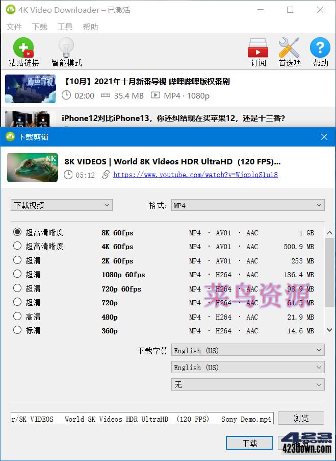 4K Video Downloader_v4.31.0.0091破解版