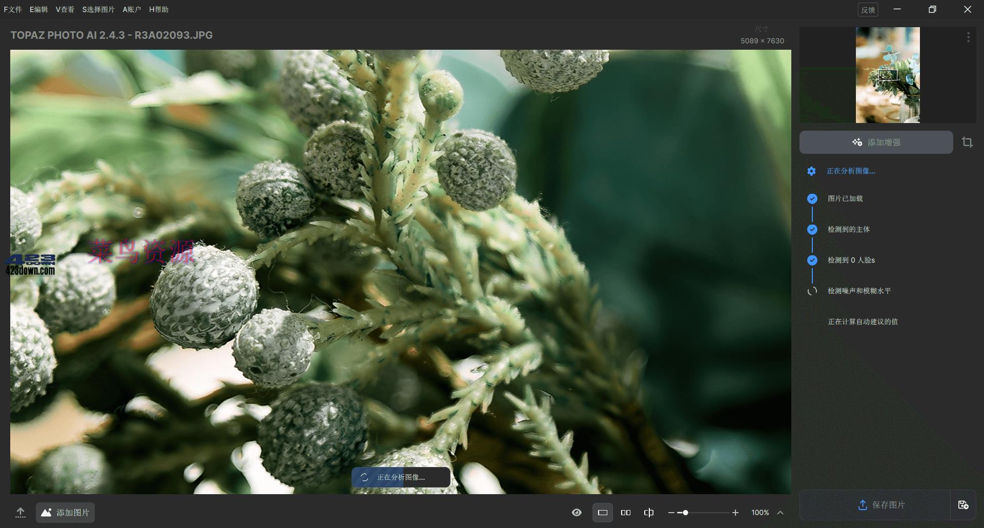 Topaz Photo AI中文破解版v3.0.4绿色便携版