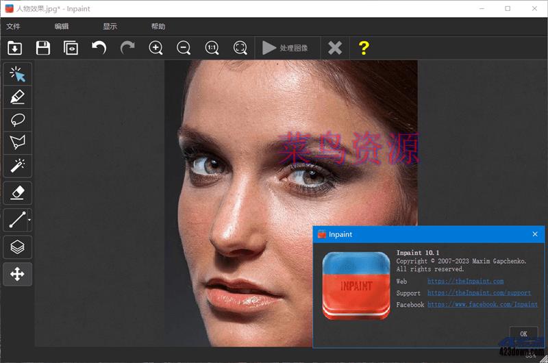 Inpaint(图片去水印工具) V10.2.4 中文破解版