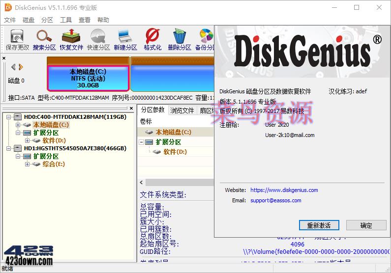 DiskGenius Professional  5.5.0.1488 Crack