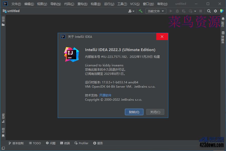 IntelliJ IDEA 2022.3.3 IDEA2022中文激活版