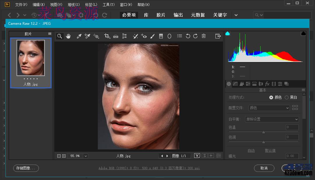 Adobe Bridge 2021 (11.1.1.185.0) Repack