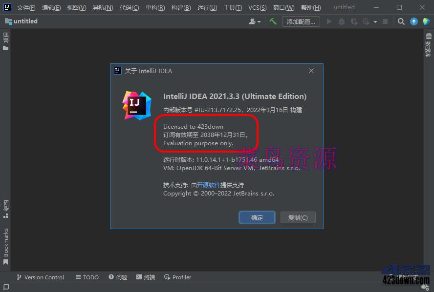 IntelliJ IDEA_2021.3.3 Ultimate 永久激活版