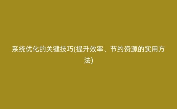 系统优化的关键技巧：提升效率、节约资源的实用方法