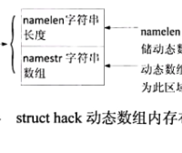 第十二章：实现可变数组 struct{int namelen; char namestr[1];};,了解C++基本语言特性变量和类型