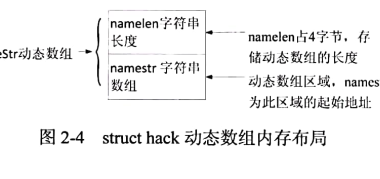 第十二章：实现可变数组 struct{int namelen; char namestr[1];};,了解C++基本语言特性变量和类型