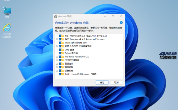Win11 v23H2(22631.3807) 小修稳定极限版
