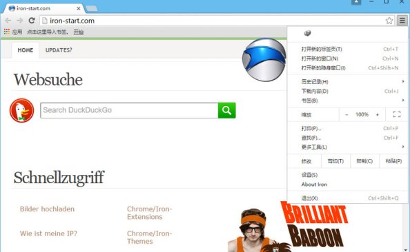 SRWare Iron v62.0.3250.0 稳定版本发布 – 423Down