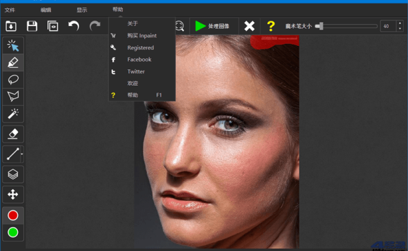 Inpaint(图片去水印工具) V10.2.4 中文破解版 – 423Down