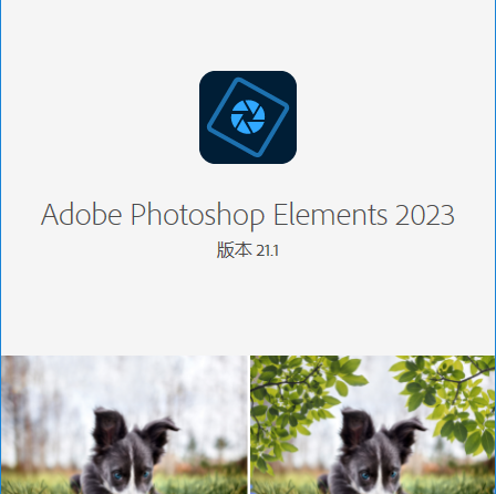 Adobe Photoshop Elements 2023_v21.1.0